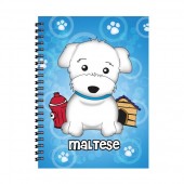 AGENDINA 3D MALTESE